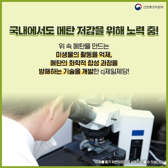 국내에서도 메탄 저감을 위해 노력 중!