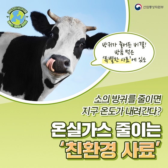 소의 방귀를 줄이면 지구 온도가 내려간다?! 온실가스 줄이는 ‘친환경 사료’