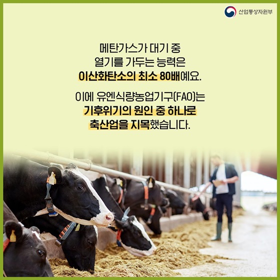 유엔식량농업기구(FAO)는 기후위기의 원인 중 하나로 축산업을 지목했습니다.