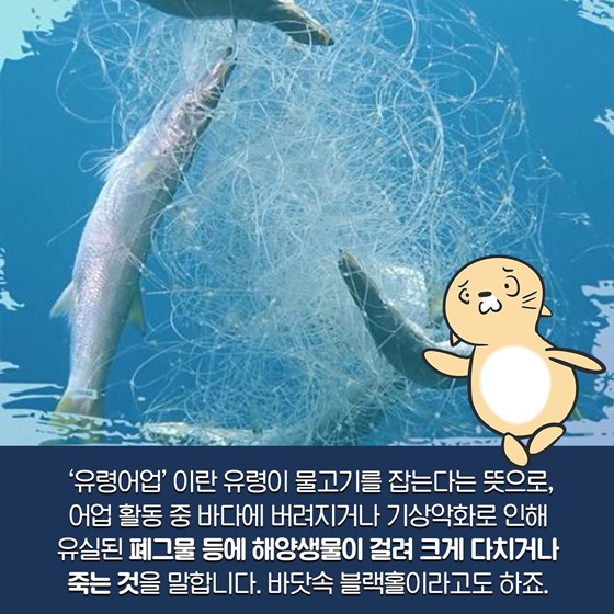 ‘유령어업’이란 유령이 물고기를 잡는다는 뜻으로 바닷속 블랙홀이라고도 하죠.