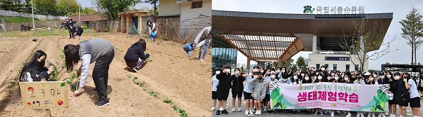 연무여자중학교 학생들이 텃밭 가꾸기(왼쪽)와 생태체험학습에 참여하고 있다. (사진=연무여자중학교)