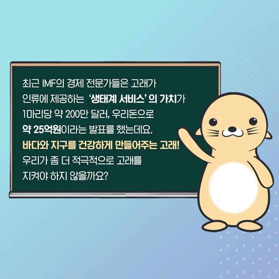 바다와 지구를 건강하게 만들어주는 고래! 우리가 좀 더 적극적으로 고래를 지켜야 하지 않을까요?