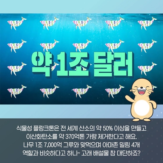 식물성 플랑크톤은 전 세계 산소의 약 50% 이상을 만들고 이산화탄소를 약 370억톤 가량 제거