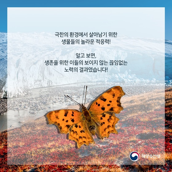 생존을 위한 이들의 보이지 않는 끊임없는 노력의 결과였습니다!