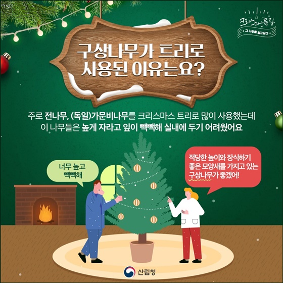 구상나무가 트리로 사용된 이유는요?