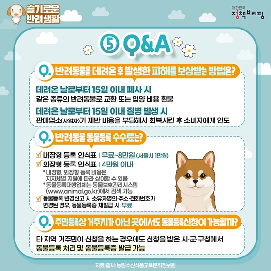 강아지 사진(반려동물 동반) 찍기 좋은 가평 스위스 마을 3