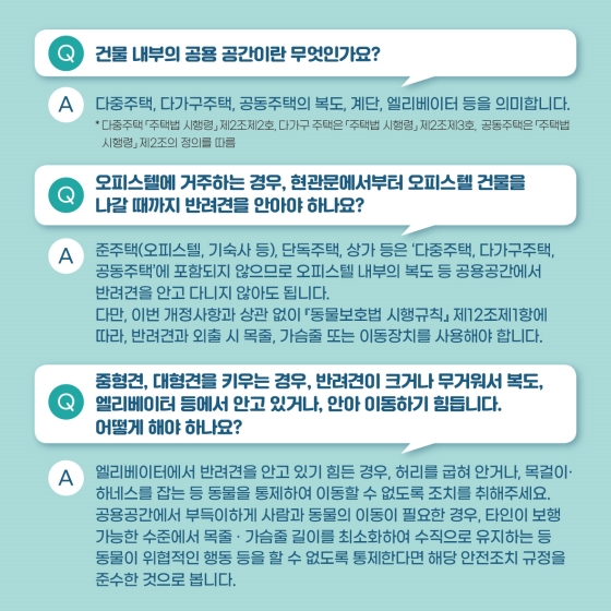 반려견과의 즐거운 산책을 위한 슬기로운 반려생활 Q&A