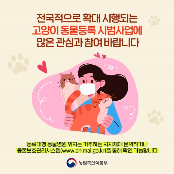 반려묘 등록, 전국 어디서나 가능해요!