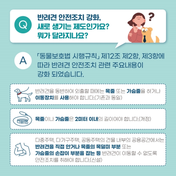 반려견과의 즐거운 산책을 위한 슬기로운 반려생활 Q&A