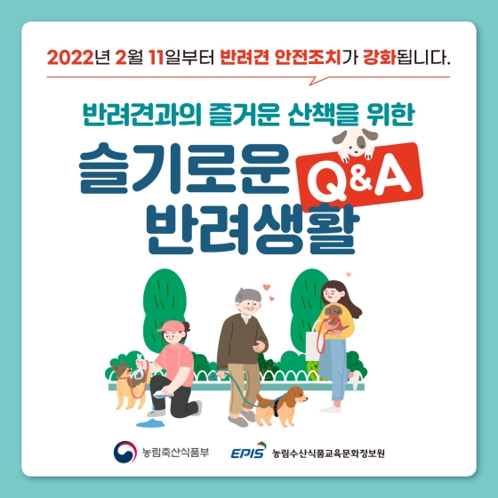 반려견과의 즐거운 산책을 위한 슬기로운 반려생활 Q&A