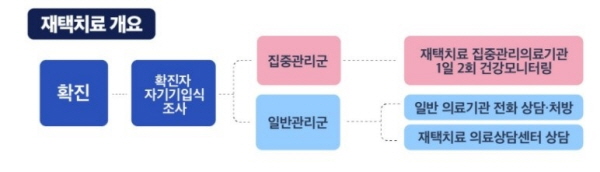 현재의 재택치료 개요(출처 : 질병관리청)