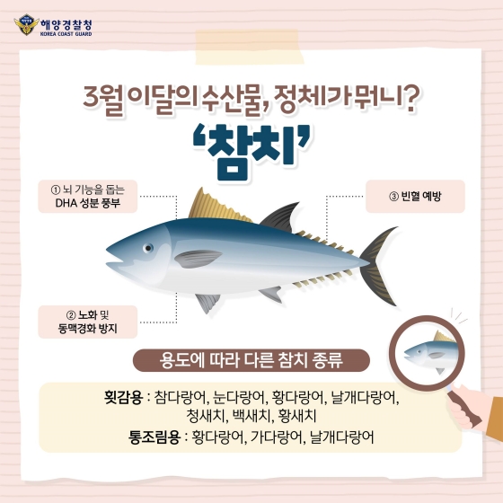 월참치 이미지