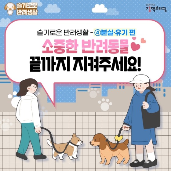 [슬기로운 반려생활] 반려동물 분실 시 이렇게 대처하세요- ④분실·유기 편