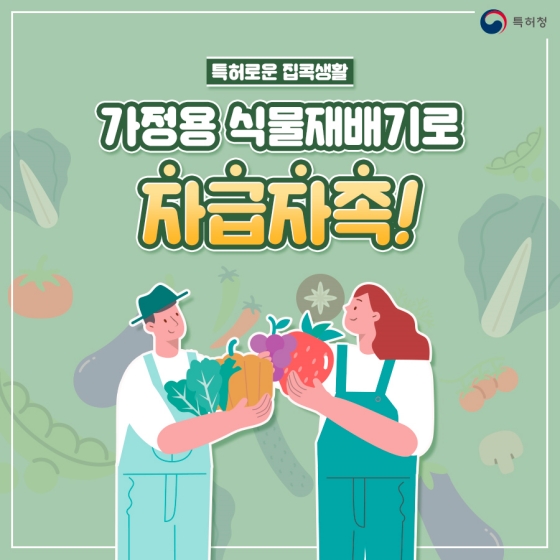 가정용 식물재배기로 자급자족!