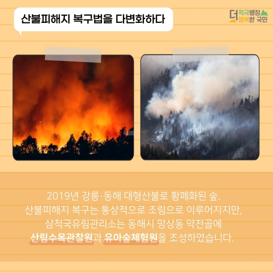 산불피해지를 아이들의 숲 놀이터로!