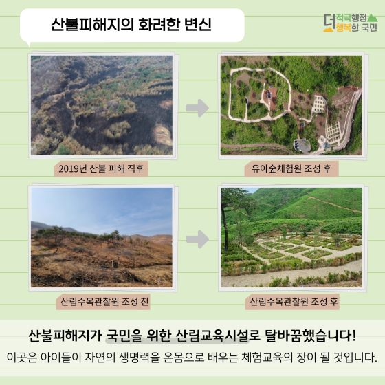산불피해지를 아이들의 숲 놀이터로!
