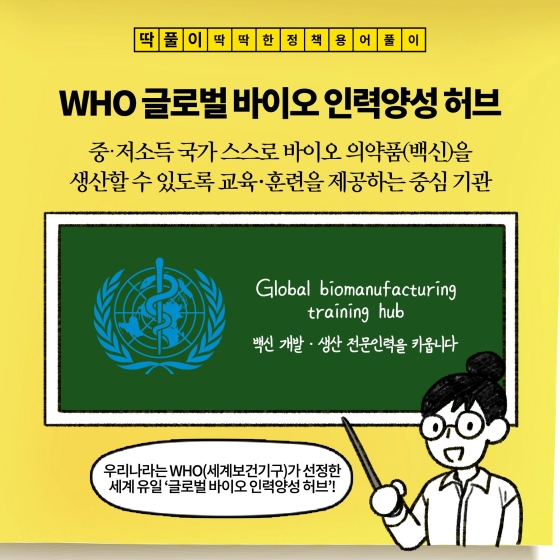 [딱풀이] WHO 글로벌 바이오 인력양성 허브 - 전체 | 카드/한컷 | 멀티미디어 | 대한민국 정책브리핑 [딱풀이] WHO 글로벌 바이오 인력양성 허브