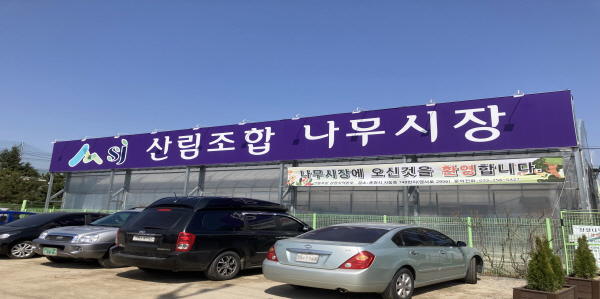 춘천 산림조합 나무시장