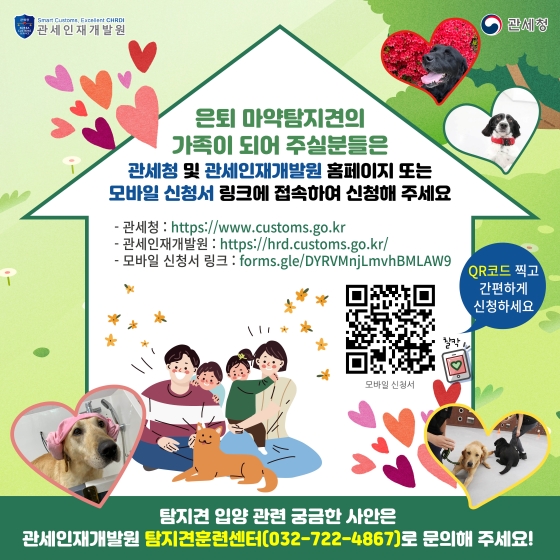 열두 마리 마약탐지견의 새 가족이 되어주세요!