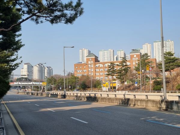 안전속도 5030시행으로 시속 50km제한이 적용되고있는 도로. 시행 전과 비교해 차량의 속도가 확연에 줄었다.