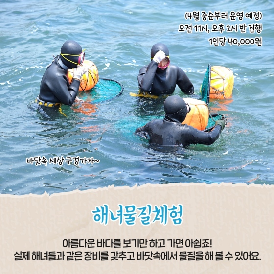 [4월에 가기 좋은 어촌 안심 여행지] ①하도 어촌체험휴양마을 - 기고/칼럼 | 뉴스 | 대한민국 정책브리핑