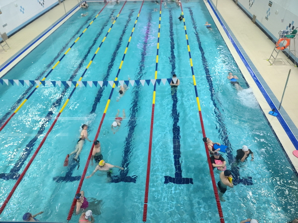 체육문화센터 수영 강좌가 다 개설되어 회원들이 수영을 즐기고 있다.