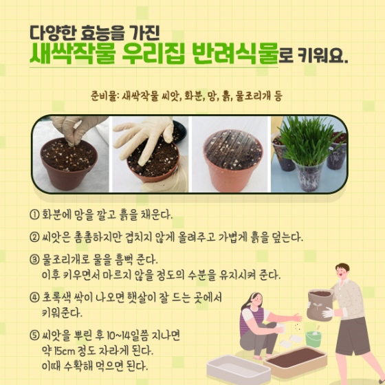 새싹 작물 키우며 봄철 건강 챙겨요!