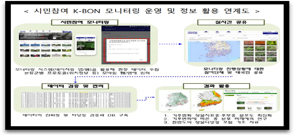 (출처=관계부처합동, 8대분야 국민체감형 관련 세부시행계획, 172P)