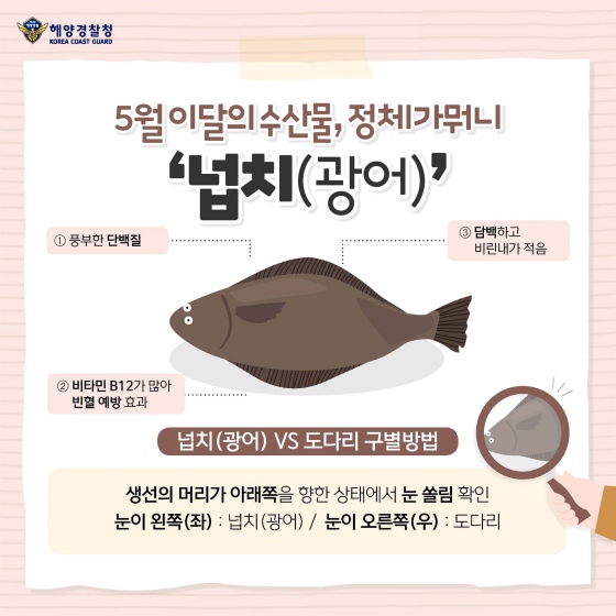 5월의 수산물 ‘넙치’, 효능과 레시피 공개!