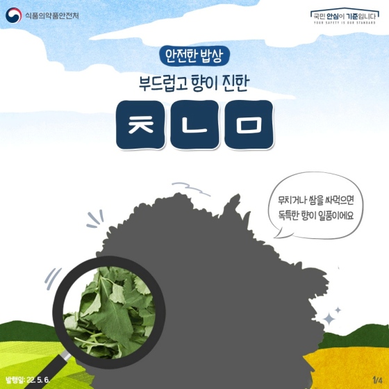 독특한 향이 일품인 제철 채소‘취나물’, 올바른 구매·손질·보관 요령은?