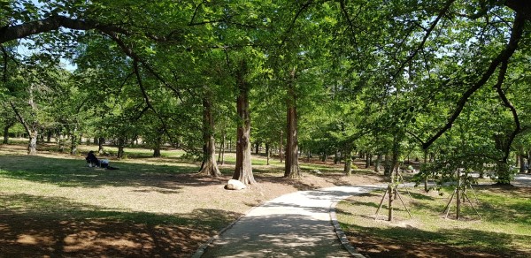 불국사로 가기 전에 있던 한적하고 여유로운 봄날의 공원