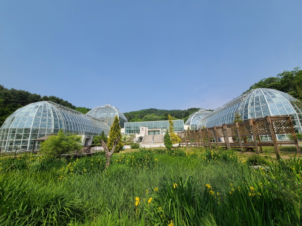 열대 식물 자원센터에서 다양한 열대 식물을 관찰할 수 있다.