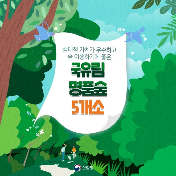 생태적 가치가 우수한 국유림 명품숲 5개소 - 전체 | 카드/한컷 | 멀티미디어 | 대한민국 정책브리핑 생태적 가치가 우수한 국유림 명품숲 5개소