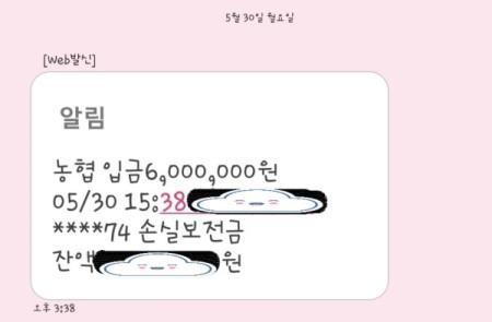 손실보전금은 5월 30일 오후 3시가 조금 넘어서 바로 입금이 됐다.