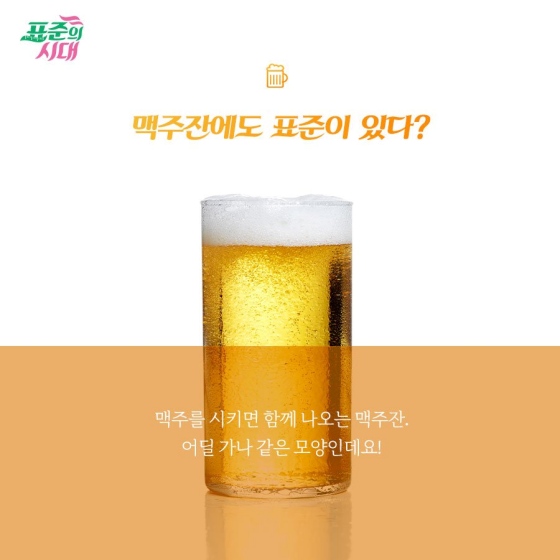 여름에 더욱 당기는 맥주, 그 속에도 표준이?