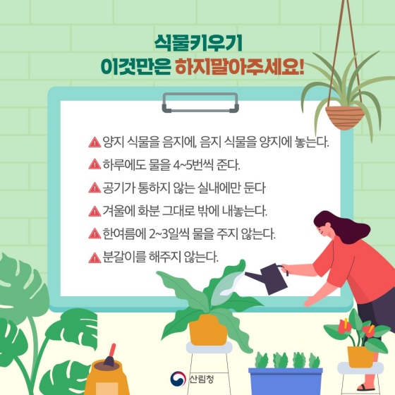 우리 집 식물은 왜 죽을까?