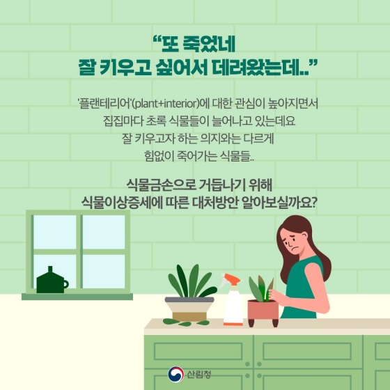 우리 집 식물은 왜 죽을까?