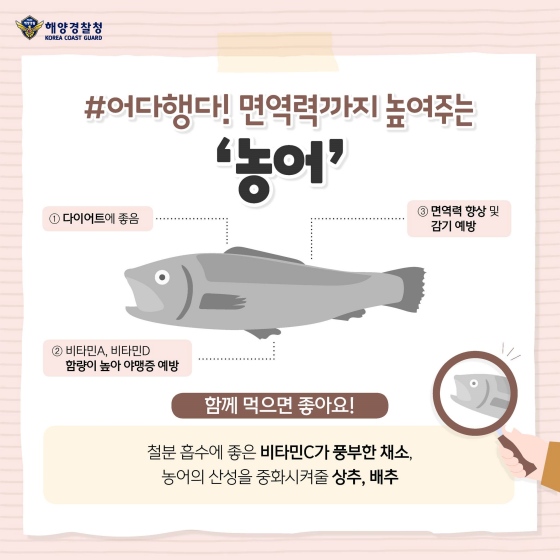 이달의 수산물  ‘농어’로 오늘 저녁 어때?