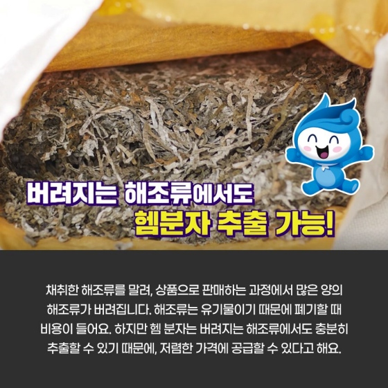 해조류로 고기를 만든다고?