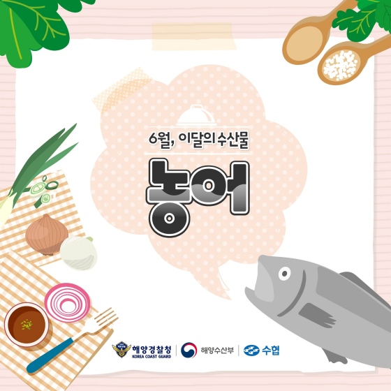 이달의 수산물 ‘농어’로 오늘 저녁 어때?