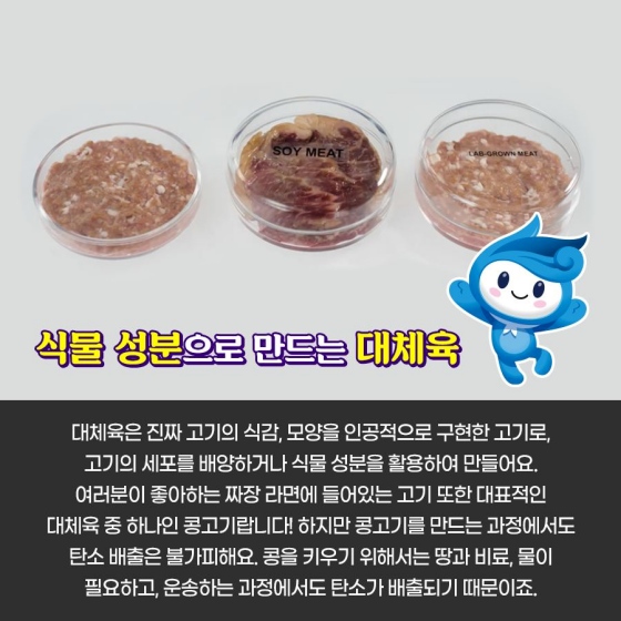 해조류로 고기를 만든다고?