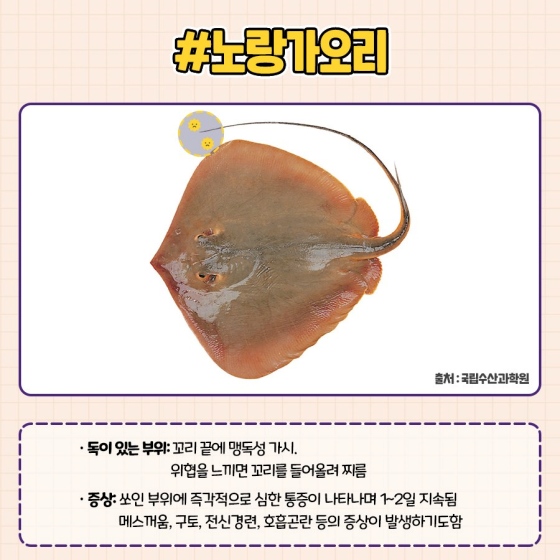 바다낚시할 때 만지면 안 되는 물고기 5가지