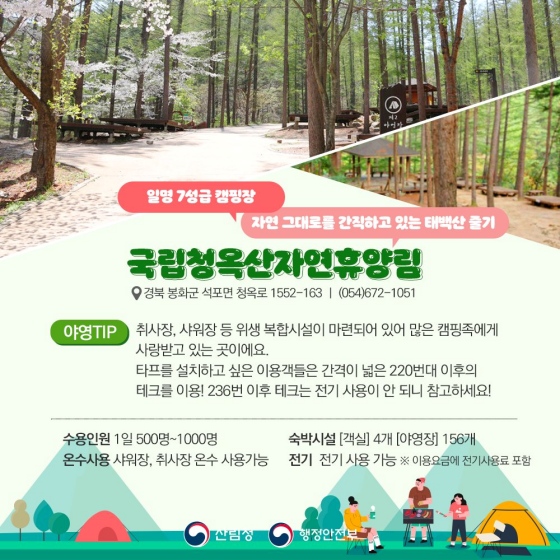 안전하고 편리하게 즐기는 ‘숲 캠핑’ 꿀 팁