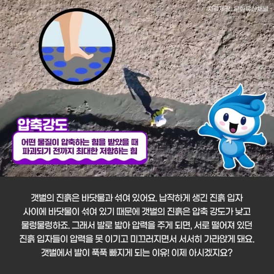 갯벌에 빠지지 않는 방법이 있다?