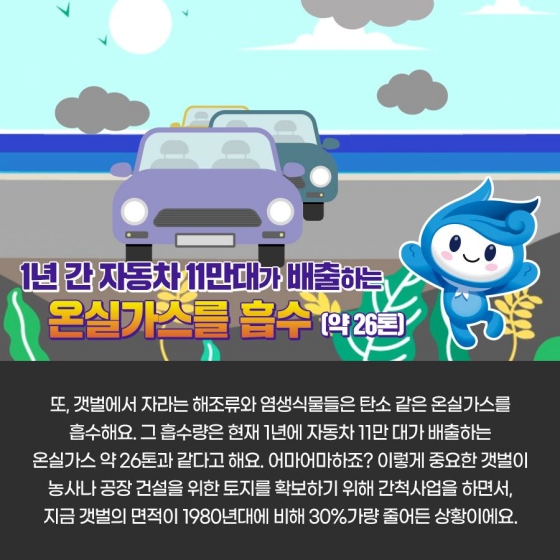 갯벌에 빠지지 않는 방법이 있다?