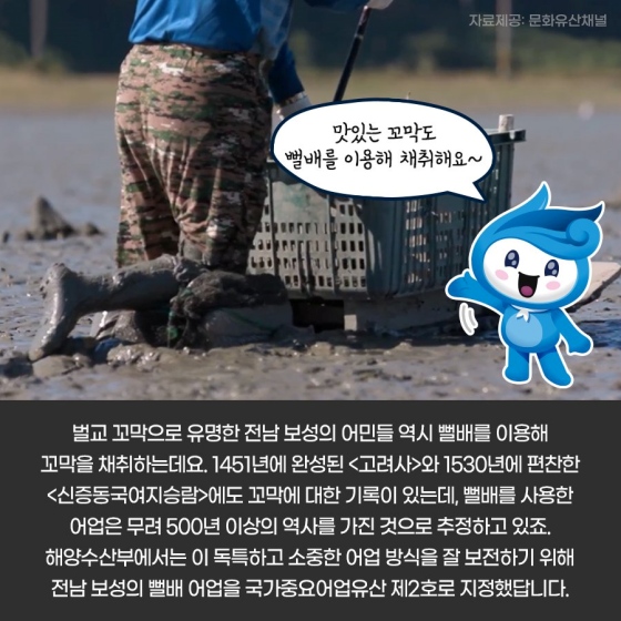 갯벌에 빠지지 않는 방법이 있다?