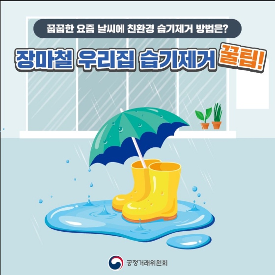 장마철 우리 집 습기 제거 꿀 팁!