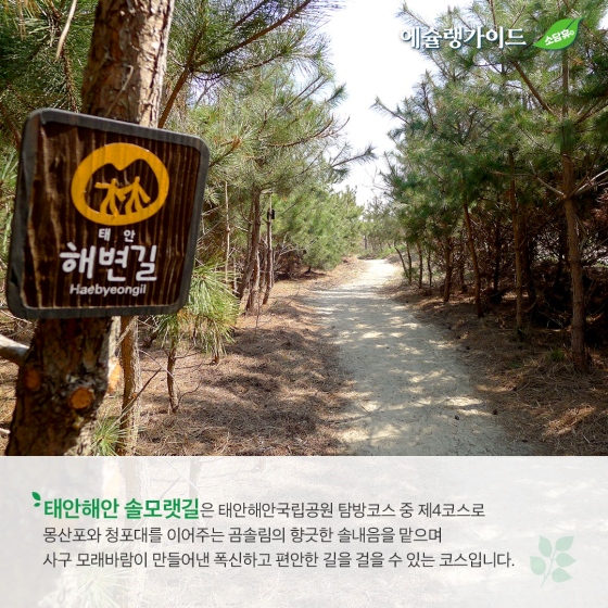 애슐랭 가이드 - ① 태안해안 솔모랫길