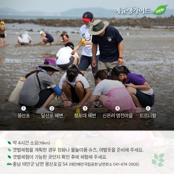 애슐랭 가이드 - ① 태안해안 솔모랫길