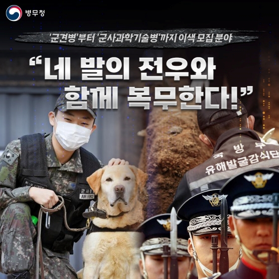 군견 관리병부터 군사과학기술병까지... 이색 모집분야를 소개합니다.
